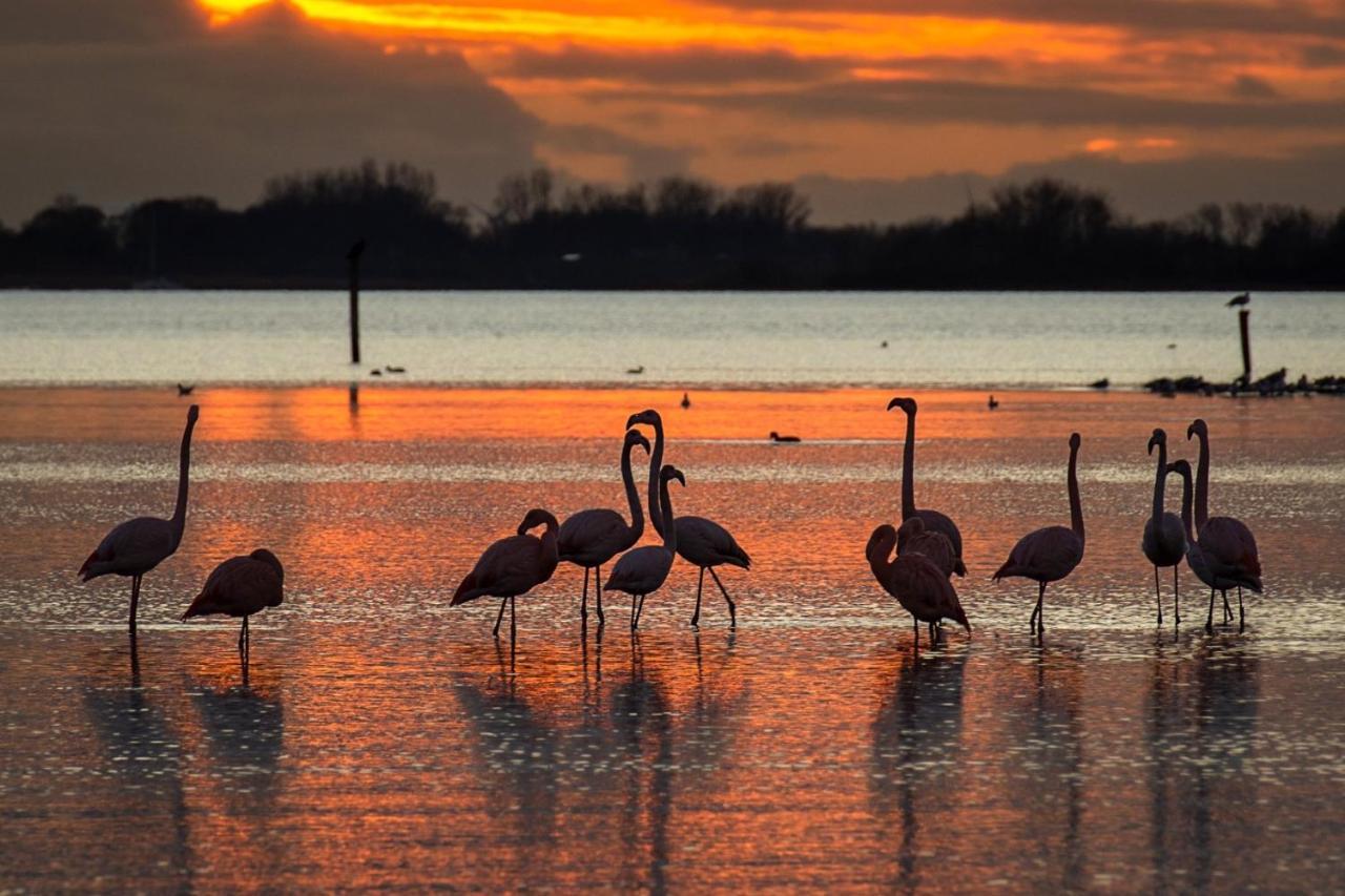 בראוניסה Ijsvogel Apartment, Duplex Family Home 4-Bed Located On The Largest Saltwater Lake מראה חיצוני תמונה